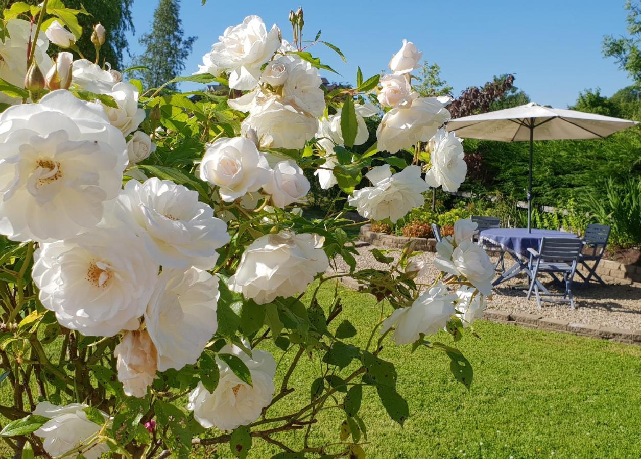 Cherville Bed & Breakfast Cavan Exteriör bild
